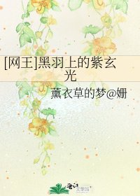 [網王]黑羽上的紫玄光